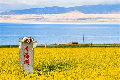 西寧到民和開車多久？探討青海旅途中的風景與心情變換